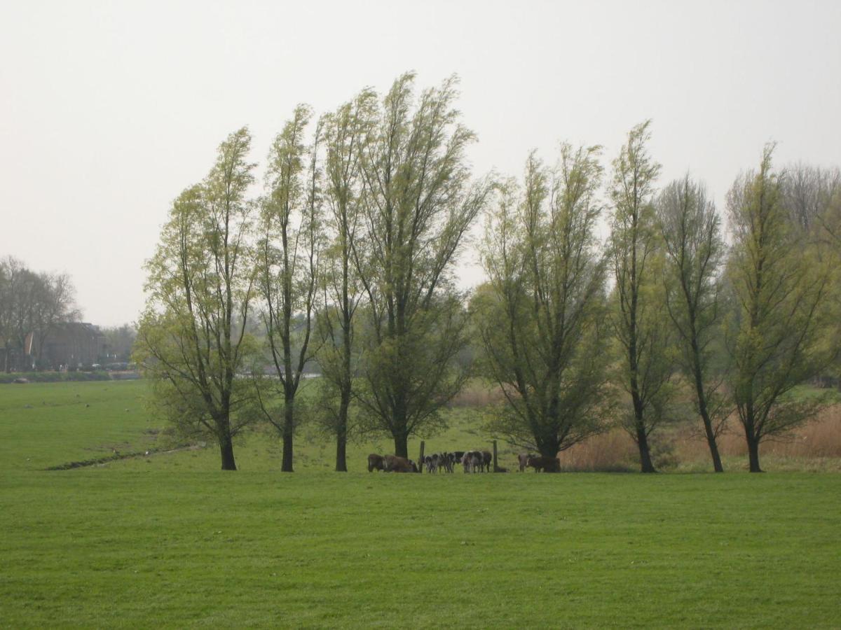 Quaint Farmhouse Near River In Oosterwijk Leerdam Exterior foto